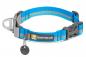 Preview: Ruffwear Web Reaction Collar Blue Dusk Gr. XS